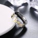 Silver and Gold Titanium Rings for Men